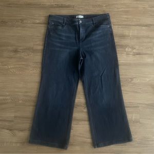 J Jill Smooth Fit Full Leg Denim Pant Size 18 Petite